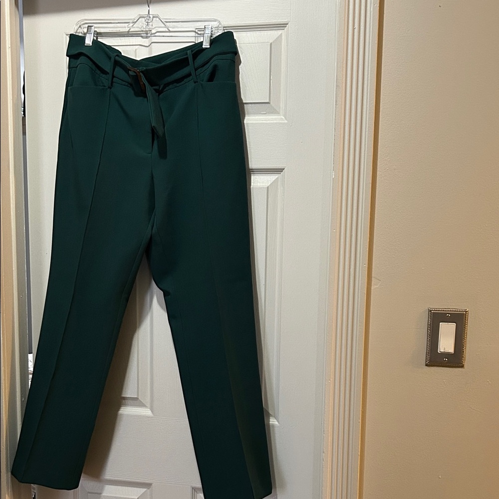 Ann Taylor Factory Dark Green Trousers